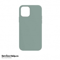 Чехол Silicone Case для iPhone 12 / 12 PRO (мурена) №61 COPY AAA+ - Service-Help.ru