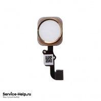 Кнопка HOME для iPhone 6 Plus (в сборе) (золотой) COPY AAA+ - Service-Help.ru